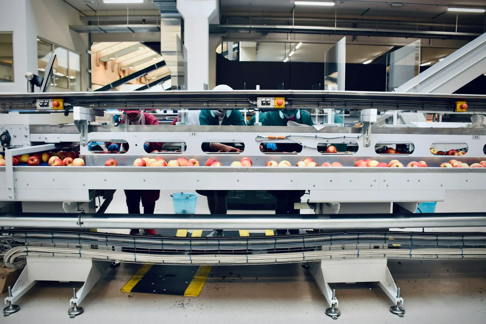 Food processing line